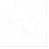 phone-icon
